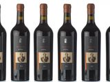 six bottles of red wine are lined up in a row