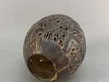 coconut shell with holes and holes in it on a white surface