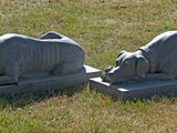 deux statues de rhinocéros couchées dans l'herbe