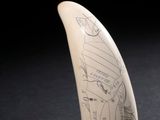 une dent blanche sur laquelle est dessiné un motif, posée sur une table