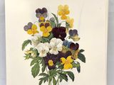 an image of a picture of a bunch of flowers on a table