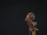 a close up of a violin on a wooden stand against a black background