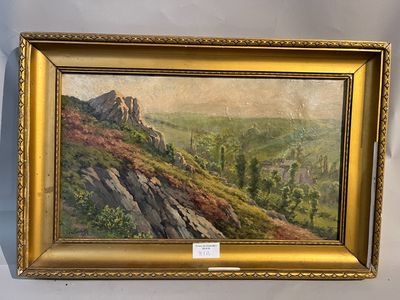 une peinture à l'huile représentant un paysage de montagne avec des rochers et des arbres, dans un cadre doré