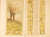 two pages of a book with a picture of a tree and flowers