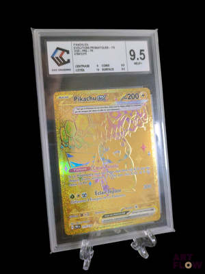 une carte Pokémon dans un étui en plastique transparent sur fond noir
