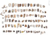 an image of a large collection of different types of rocks