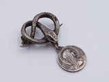 an image of a silver snake and a coin on a white surface