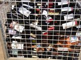 many bottles of wine in a metal cage