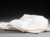 an image of a white bag on the ground