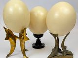 trois œufs sont posés sur un support, à côté d'un oiseau et d'un poisson