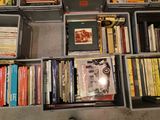 beaucoup de livres sur les étagères de la pièce