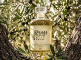 a bottle of olive oil sitting on top of a tree branch