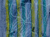 une image représentant une peinture bleue et jaune sur un fond blanc