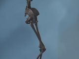 statue of a skeleton holding a basketball ball on a wooden base
