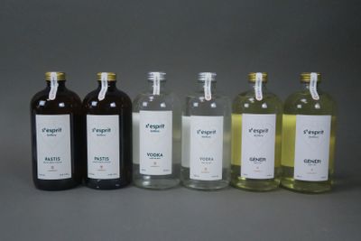 2 B Pastis, Saint-Esprit, Plantes alpines infusées, 500 ml 1…