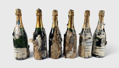 six bouteilles de champagne sont alignées sur une surface blanche