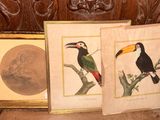 two framed pictures of birds sitting on top of a wooden table