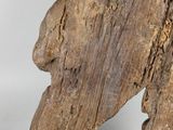 a large piece of wood that has been carved into it