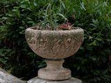 a bird that is sitting on top of a planter