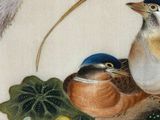 two birds that are sitting on the ground next to leaves