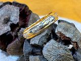 une bague en or posée au sommet d'un tas de noix séchées