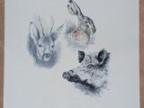 painting of a group of wild animals in a frame on a wall
