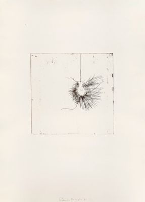 an image of a black and white drawing of a plant in a square frame