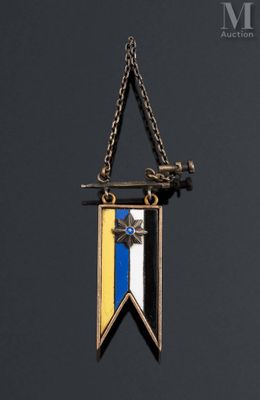 an image of a medal hanging from a chain with a star on it