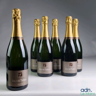 four bottles of champagne are lined up on a table