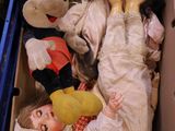 un petit enfant allongé dans une boîte en carton avec des peluches