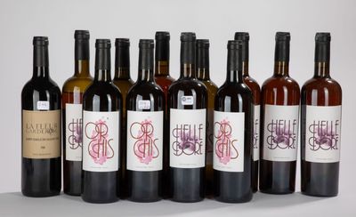 plusieurs bouteilles de vin sont alignées sur une surface blanche
