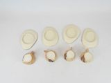 four hats and a shell are arranged in a row on a white surface
