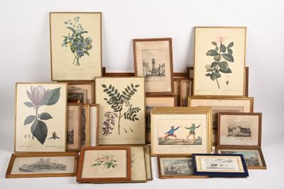 de nombreuses photos encadrées de plantes et de fleurs accrochées au mur