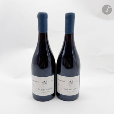 deux bouteilles de vin posées l'une à côté de l'autre sur une surface blanche