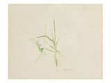 une image représentant un dessin de fleur sur fond blanc