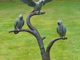 three birds perched on a tree branch in the grass
