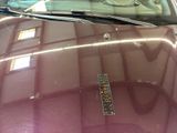 a close up of a car ' s hood with a sticker on it
