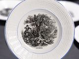 a plate with a picture of a man and a dog on it