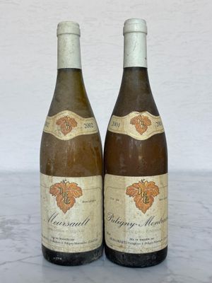 deux bouteilles de vin posées sur une table l'une à côté de l'autre