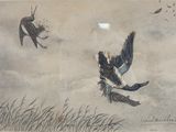 two birds that are flying in the sky together