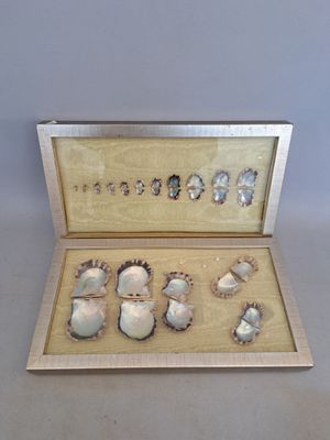 La naissance de la perle, deux encadrements pédagogiques.