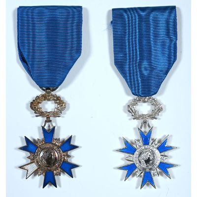 two medals with blue ribbons and silver stars on them