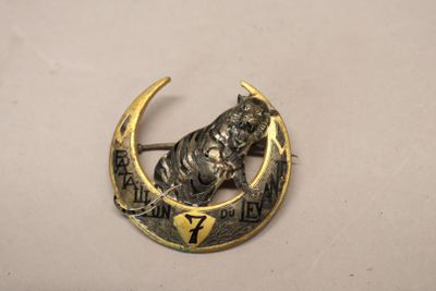 an image of a brooch with a horse on a crescent