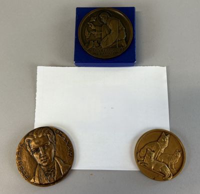 two gold medals and a blue box on a white surface