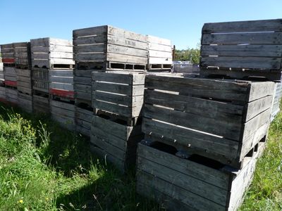 de nombreuses caisses en bois empilées les unes sur les autres dans l'herbe