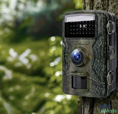 a small camera attached to a tree in the woods