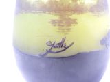a vase that has a picture of a lake in it