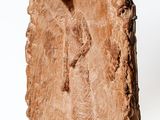 un gros morceau de bois sur lequel est sculpté un homme