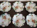 six plates with flowers on them are sitting on a table