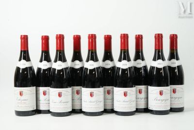 six bouteilles de vin rouge alignées sur une surface blanche